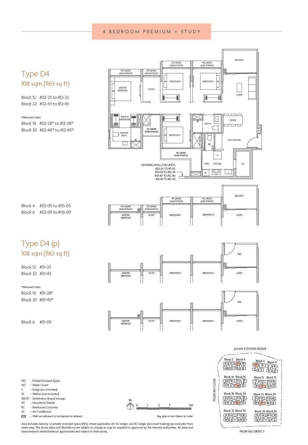 Coastal Cabana floor plan — D4(p)